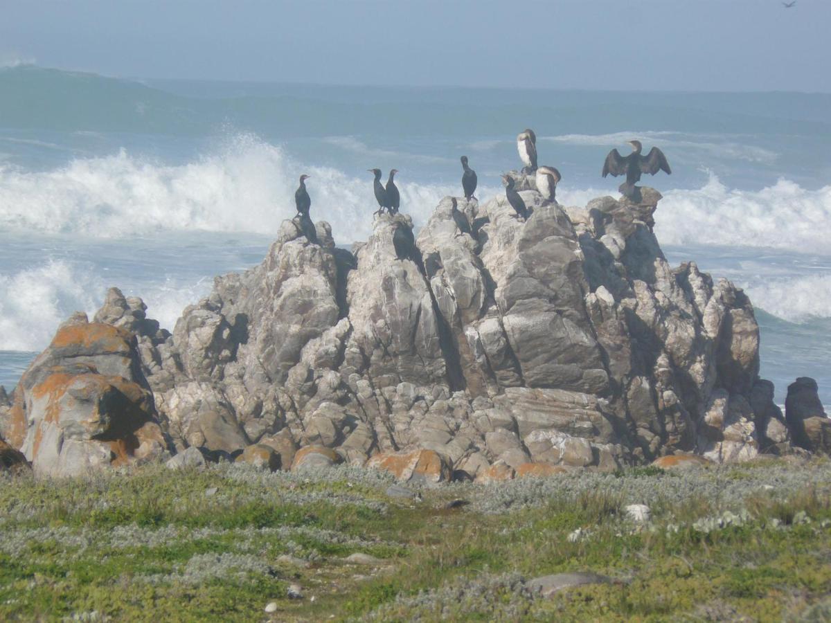 House Of 2 Oceans Agulhas Exterior foto